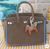 Palm Tote- Clay